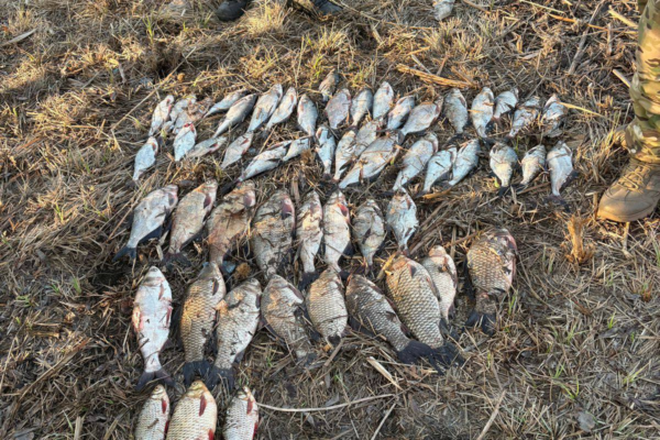 Два мішки риби і сітки: На Черкащині затримали браконьєрів за незаконний вилов у заповідній зоні