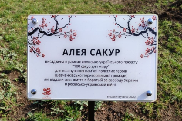 «100 сакур для миру»: На Черкащині висадили алею сакур на честь загиблих воїнів