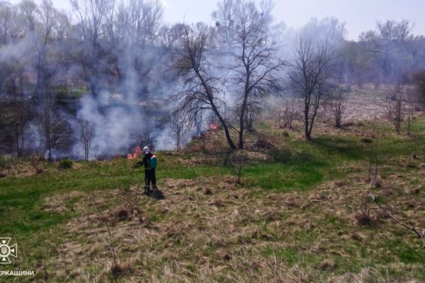 Палало по всій області: На Черкащині за добу вигоріли 7 гектарів трави через підпали і необережність