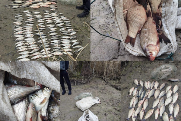 На Золотоніщині викрили рибалку під час нересту з незаконним виловом на понад 260 тис грн