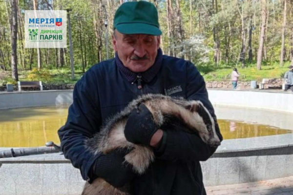 У Черкасах комунальники знайшли борсука в парку, його передали ветеринарам (ФОТО)