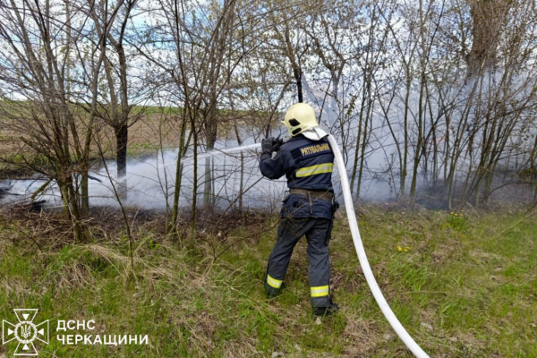 Гектари сухої трави згоріли на Черкащині за добу через підпали, куріння та дитячі пустощі з вогнем
