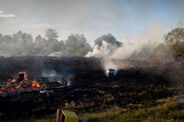 На Львівщині у пожежі згоріли 20 вуликів