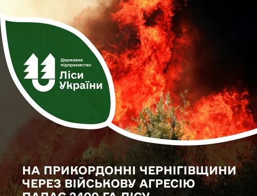 На Чернігівщині через обстріли палає близько 2400 гектарів лісу