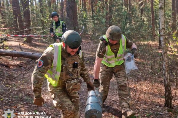 У лісосмузі Деснянського району виявили бойову частину ворожого БпЛА «Герань-2»