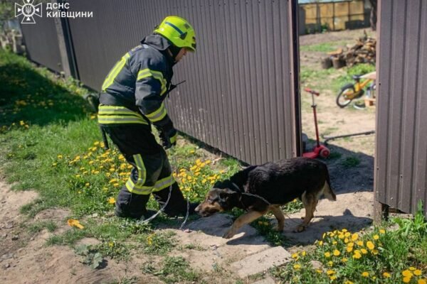 У Борисполі вогнеборці врятували собаку під час пожежі