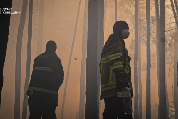 Масштабна пожежа в Зоні відчуження: Вогонь охопив понад 1100 гектарів лісу