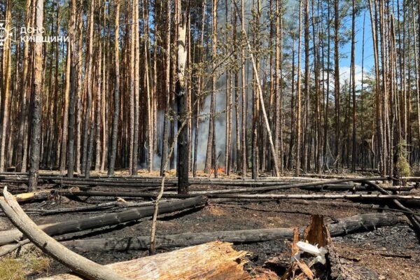 У Чорнобильській зоні локалізували масштабну пожежу (ФОТО)