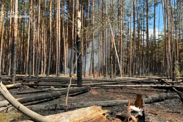 На Київщині від початку року сталося понад 3300 пожеж в екосистемах