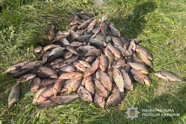 Наловив риби на 250 тис. грн: На Тернопільщині викрили браконьєра