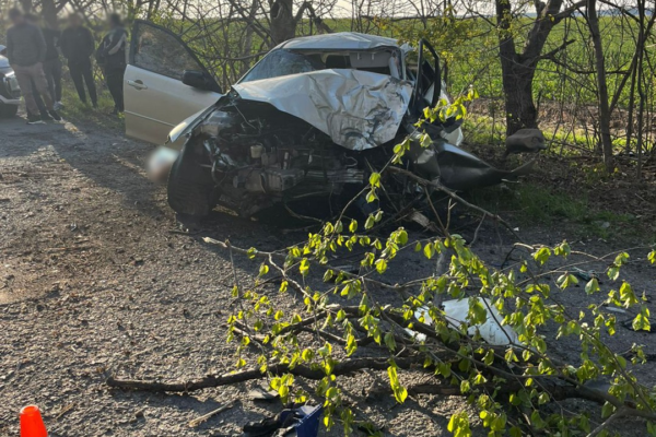 На Уманщині авто злетіло в кювет і врізалося в дерево: Водій загинув (ФОТО)