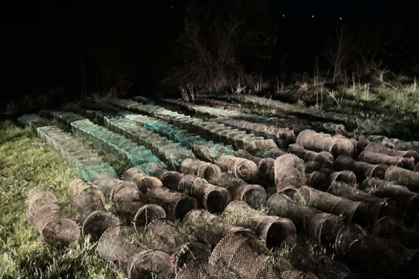 На Черкащині екоінспектори врятували понад 500 раків і вилучили пів кілометра сіток