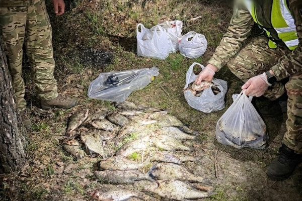 На Дніпрі біля Черкас спіймали браконьєра з уловом на 30 тисяч гривень