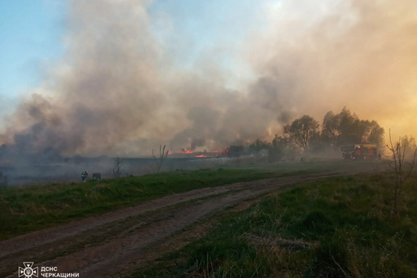 14 пожеж за добу: На Черкащині вогонь знищив десятки гектарів (ФОТО)
