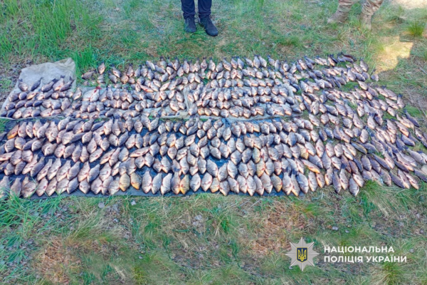 На Черкащині під час нересту браконьєри завдали державі понад 2 млн грн збитків