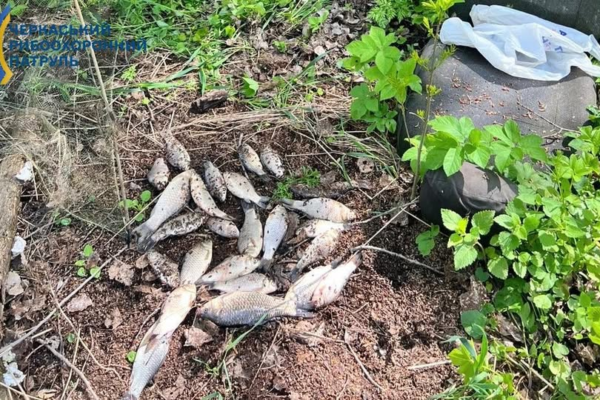 На Черкащині на річці Гірський Тікич затримали браконьєра з «павуком» та десятками карасів