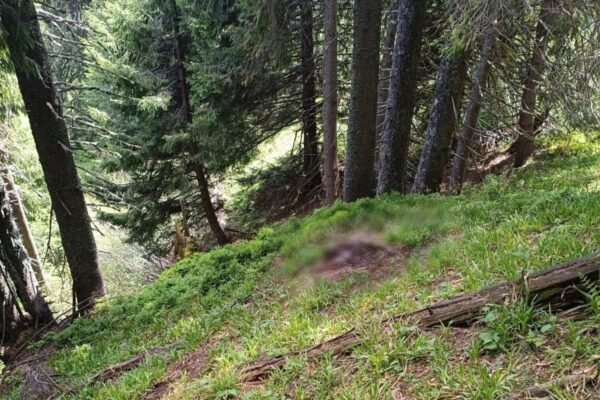 На Закарпатті поблизу кордону з Румунією прикордонники виявили тіло людини