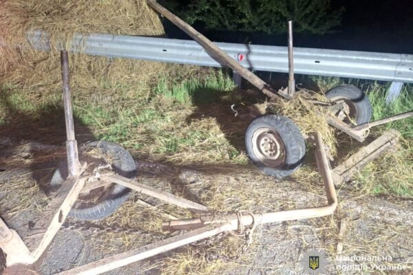 На Прикарпатті Jaguar в’їхав у гужовий віз, навантажений сіном: Загинув керманич воза і кінь (ФОТО)
