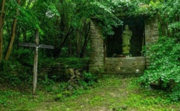 У колишньому селі Пужники на Тернопільщині розпочалися українсько-польські пошукові роботи