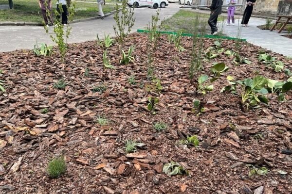 Дощовий сад та власноруч зроблені меблі: Львівські підлітки облаштували на території лікарні громадський простір