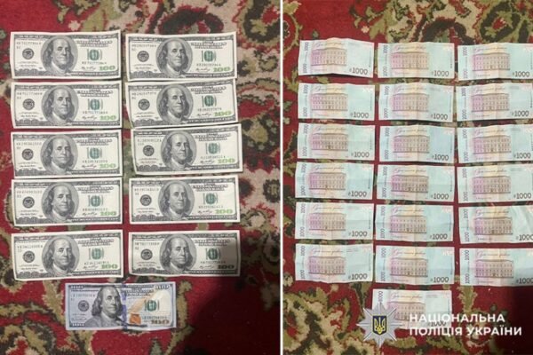 На Хмельниччині доглядальниця вкрала 100 тисяч гривень з будинку, у якому працювала