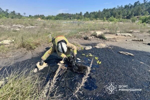 На Рівненщині собака провалився у яму із смолою: Тварину врятували