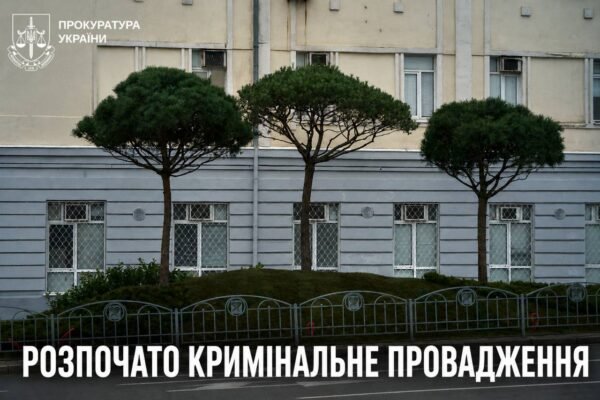 У Харкові 4 сосни купили за 4 мільйони з бюджету: Прокуратура відкрила провадження