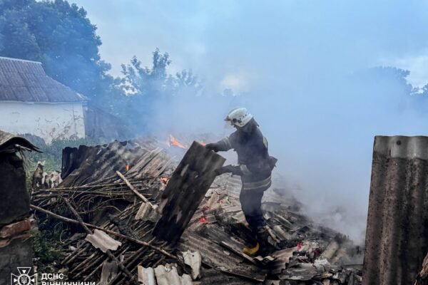 На Вінниччині під час пожежі в господарській споруді загинули тварини