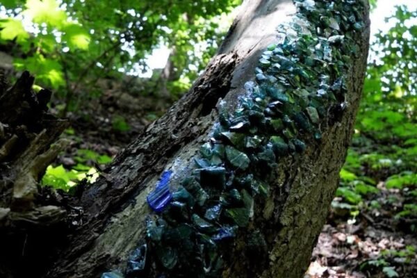 У львівському парку з’явився новий лендарт-об’єкт, створений із фрагментів історичного скла (ФОТО)
