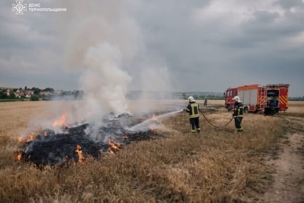 На Тернопільщині внаслідок удару блискавки в полі згорів гектар пшениці