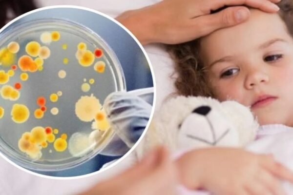 Львівські епідеміологи оприлюднили перші результати досліджень спалаху кишкової інфекції на озері Задорожнє