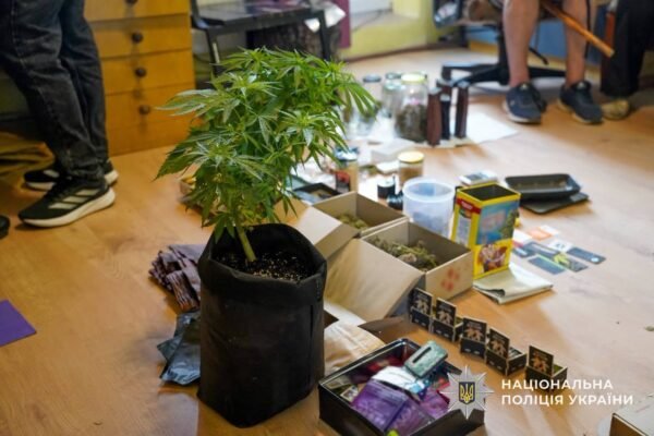 1 кг канабісу, галюциногенні гриби та печиво з наркотиками: На Закарпатті викрили вісьмох наркоділків