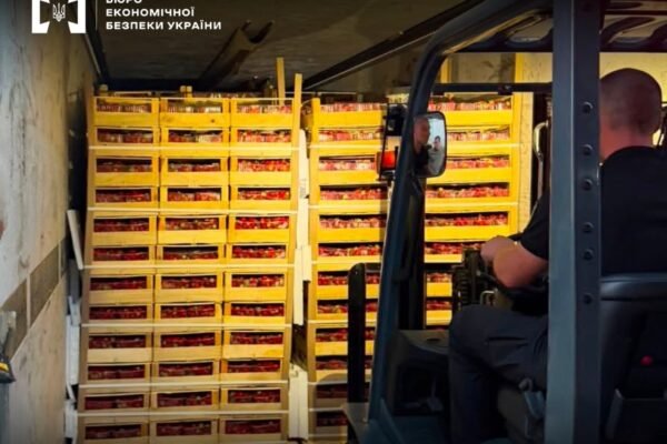 Під полуницею ховав сотні тисяч пачок цигарок: БЕБ на Буковині викрило завезення в країну контрабанди