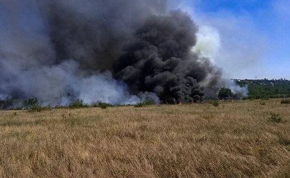 Через ворожі удари на Запоріжжі було знищено понад 1800 гектарів посівів