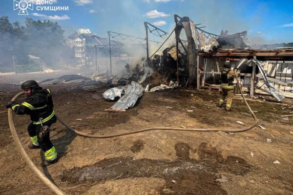 На Сумщині ворог вдарив по фермам і транспорту