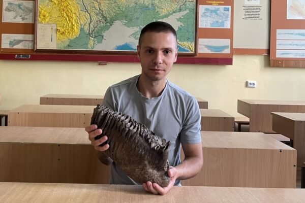 У руслі Дністра неподалік Жидачева знайшли добре збережений зуб мамонта