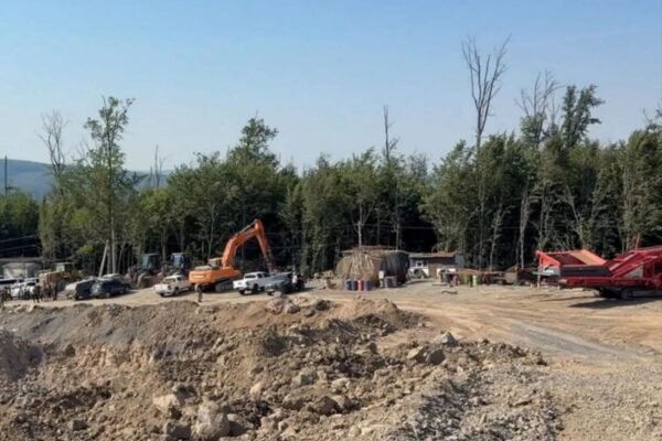 Майже мільярд збитків: На Закарпатті викрили депутата облради зі спільниками на незаконному видобутку андезиту