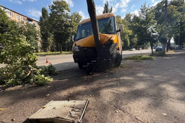 У Кривому Розі маршрутка врізалася у дерево: Пасажири дістали переломи