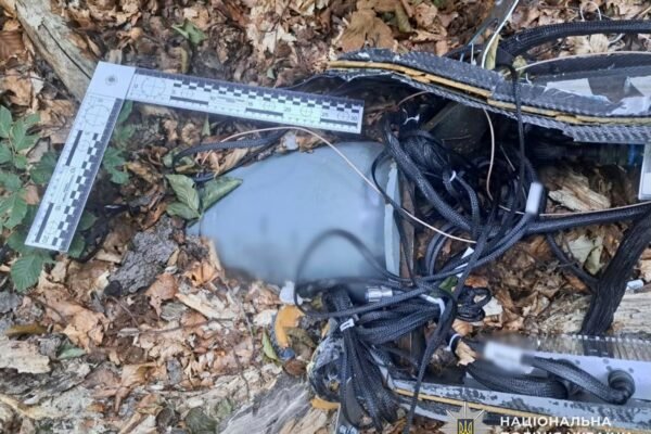 Закарпатські вибохотехніки знешкодили на Хустщині бойову частину російського дрона