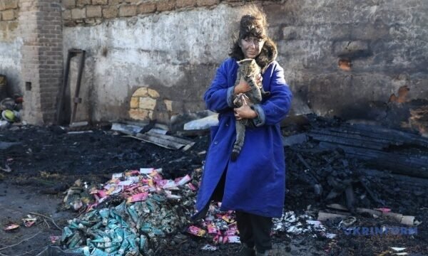 Загинули коти і собаки: На Одещині всю ніч рятували тварин з притулку після обстрілів