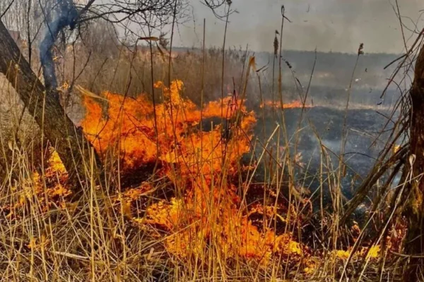 На Львівщині на місці пожежі сухої трави виявили обгоріле тіло 64-річного чоловіка