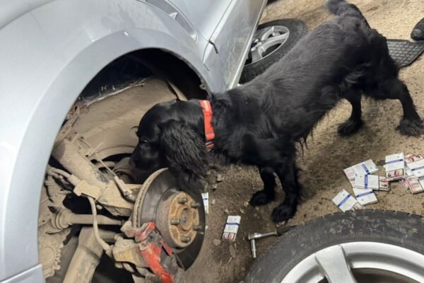 Закарпатські митники вилучили 6 автомобілів, які використовували для контрабанди тютюну