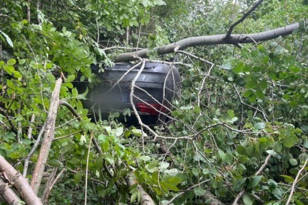 На Прикарпатті Opel з’їхав у кювет і перекинувся: Водій загинув
