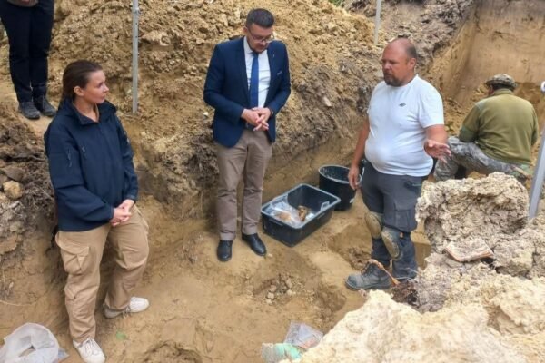 На Голосківському цвинтарі у Львові ексгумували останки 89 польських та німецьких військових