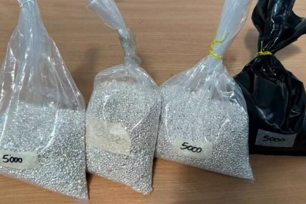 Закарпатські митники вилучили у водія рейсового автобуса понад 20 кг срібла на майже 2 млн грн
