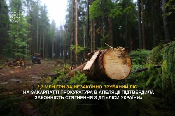 ДП «Ліси України» сплатить 2,3 млн грн за незаконно зрубаний ліс на Закарпатті