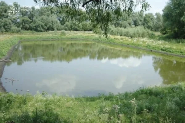 На Львівщині трактор перекинувся у ставок: Загинув тракторист