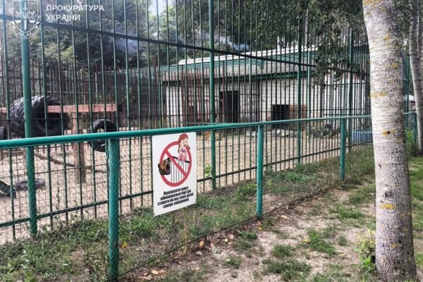 На Полтавщині ветеринарному лікарю повідомили про підозру через напад левиці на дитину