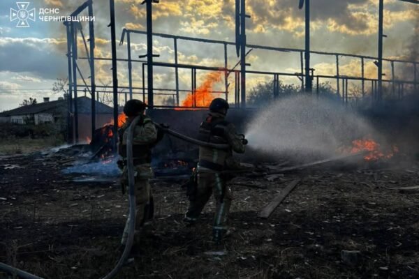 Росіяни вдарили по фермі на Чернігівщині: Постраждала худоба, знищено ангари та техніку