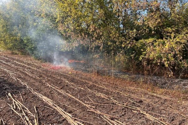 На Полтавщині впали уламки дрона, зайнялася пожежа